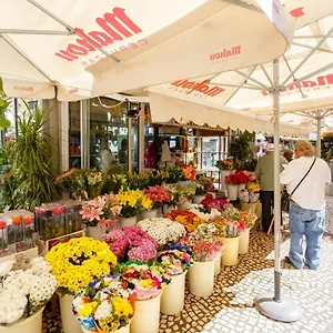 https://apartamento-el-seminarista-by-cadiz4rentals.hotelsincadiz.net